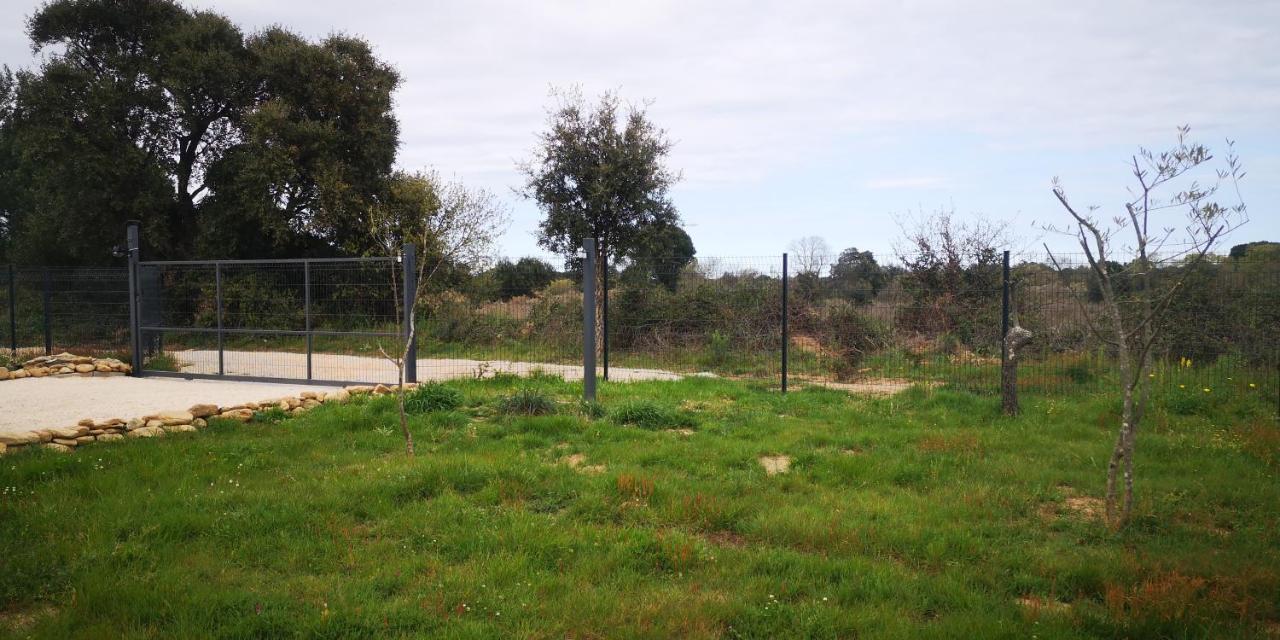 Sorède Gite Du Llevan מראה חיצוני תמונה